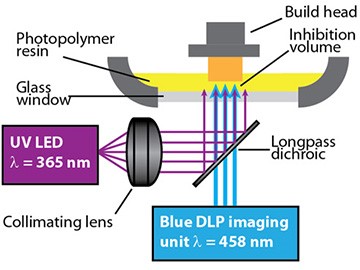 3D.jpg